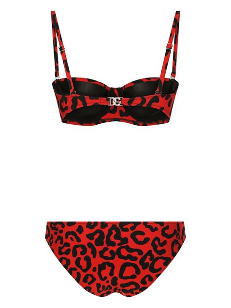 dolce gabbana leopard bikini top|Leopard.